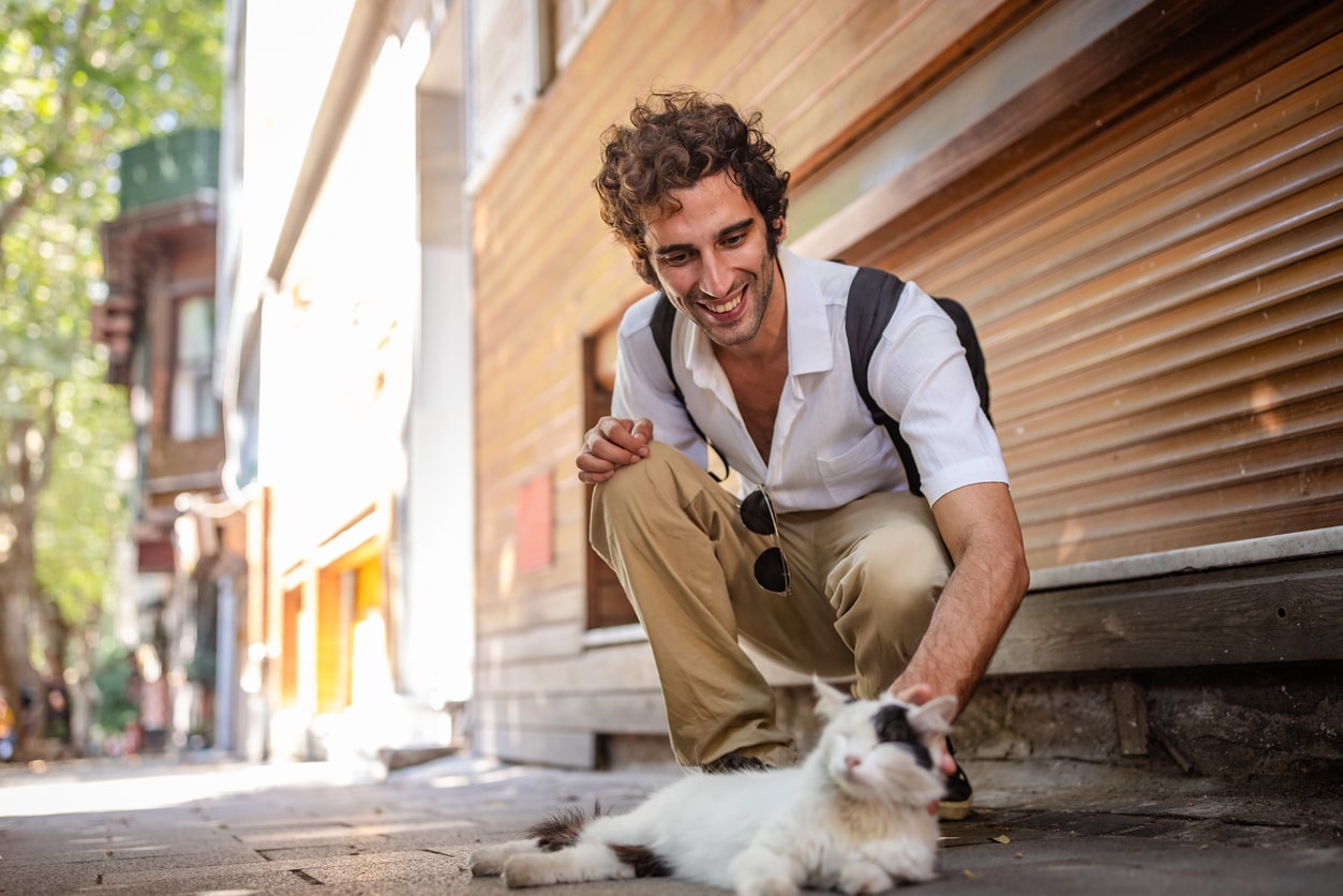 Eurolife Blog - νεαρός άδρας χαιδεύει μία γάτα στον δρόμο